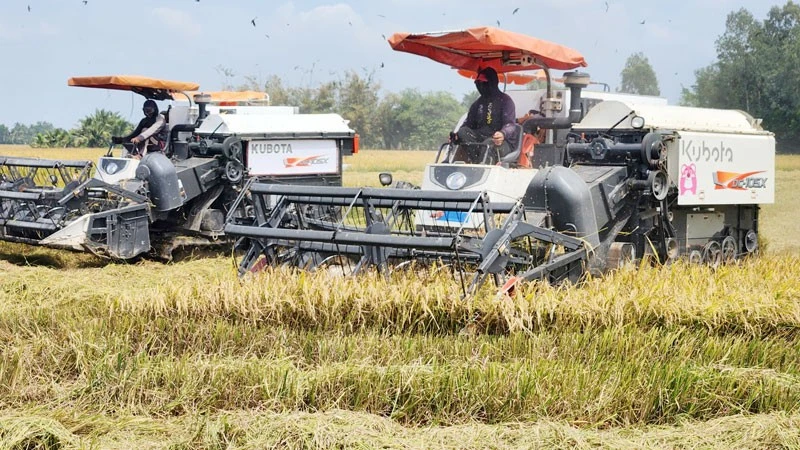 Nông nghiệp-thế mạnh ở xã Hòa Thuận.