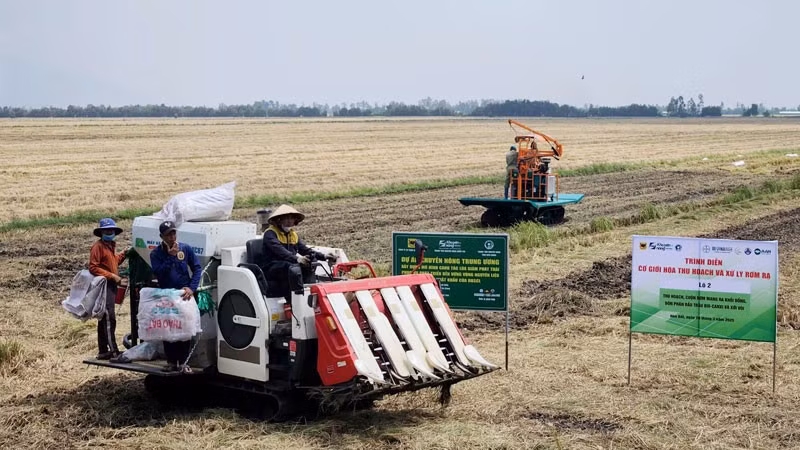 Máy cơ giới trình diễn thu hoạch lúa và thu gom rơm ở xã Hòn Đất.