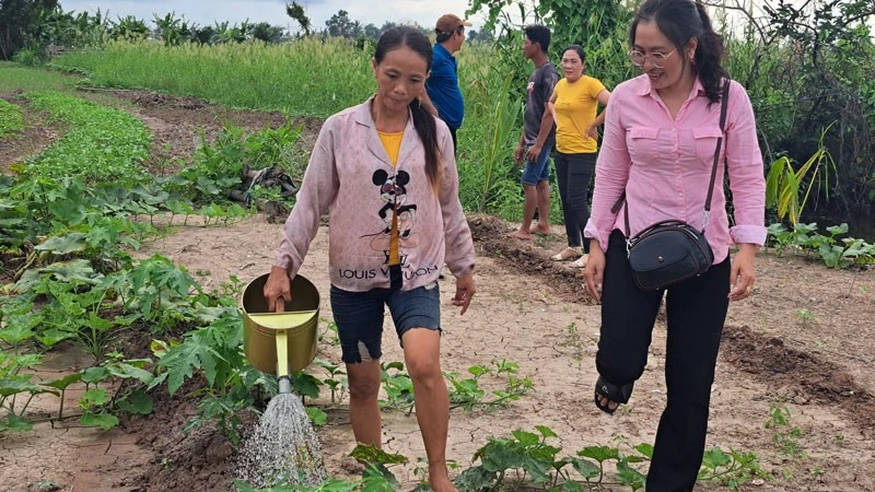 Chị Thị Trúc Linh, xã Đông Thái nhờ nguồn vốn hỗ trợ 25 triệu đồng và kiến thức kỹ thuật từ Hội Phụ nữ xã để trồng rau xanh đã có cuộc sống ổn định. 