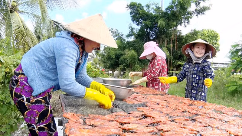 Người dân xã Vân Khánh làm cá khô. (Ảnh: PHÁT TÀI).