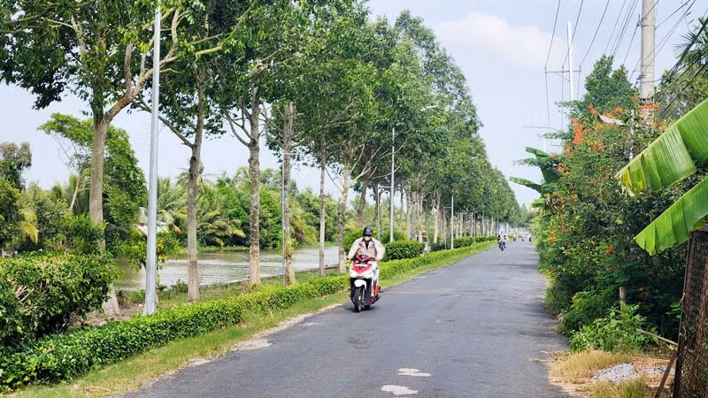 Giao thông trên địa bàn xã Ngọc Chúc.