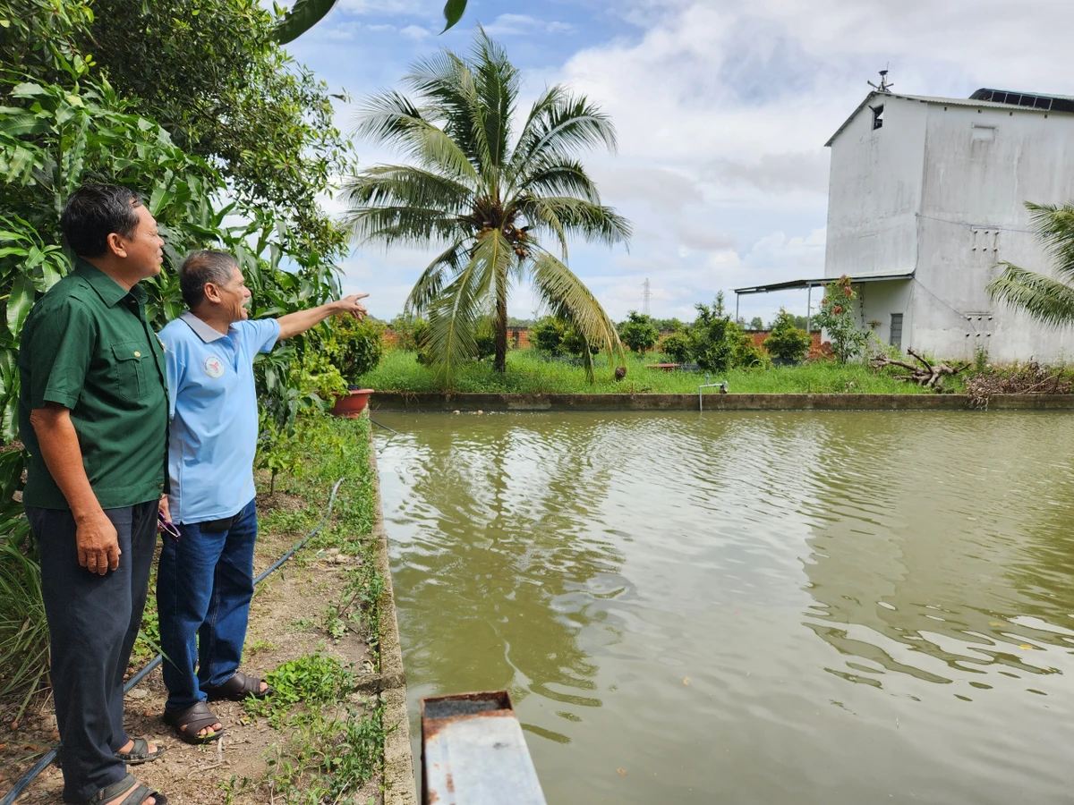 Hội viên cựu chiến binh Phạm Hiếu Giáp (65 tuổi, bên trái) xã Vĩnh Thông, tỉnh An Giang với mô hình nuôi yến.