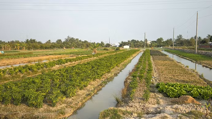 anh-5-vung-chuyen-canh-rau-mau.jpg