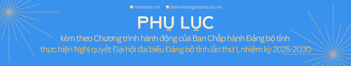 tit-phu-cho-chuong-trinh-hanh-dong-5.png