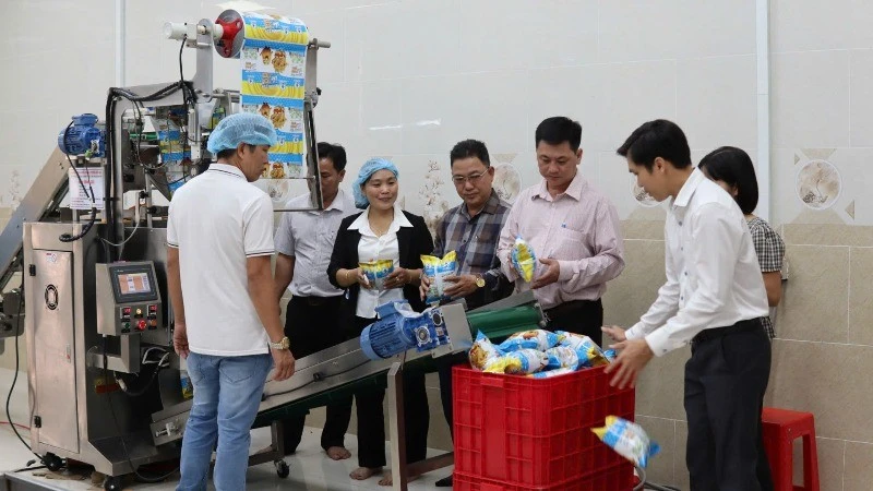 Kinh tế tư nhân là động lực đóng góp quan trọng cho cực tăng trưởng kinh tế của Tây Ninh