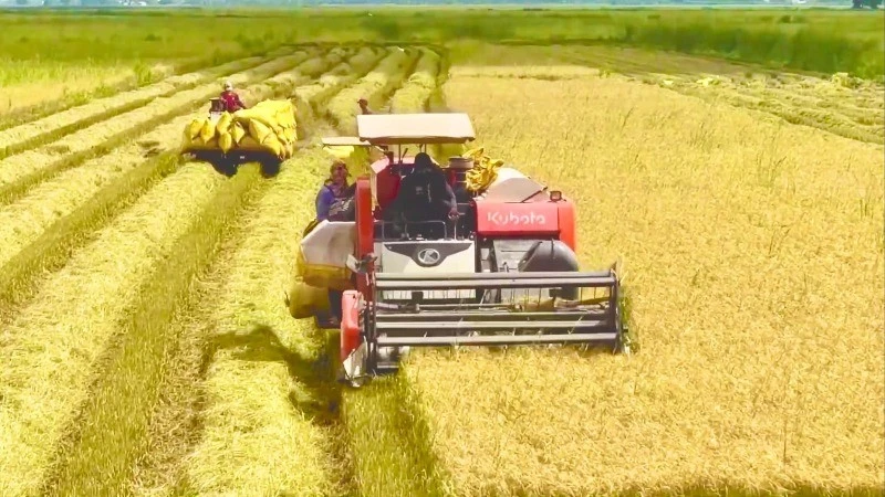 Trồng lúa ứng dụng công nghệ cao được xác định là một trong những khâu đột phá của nhiệm kỳ