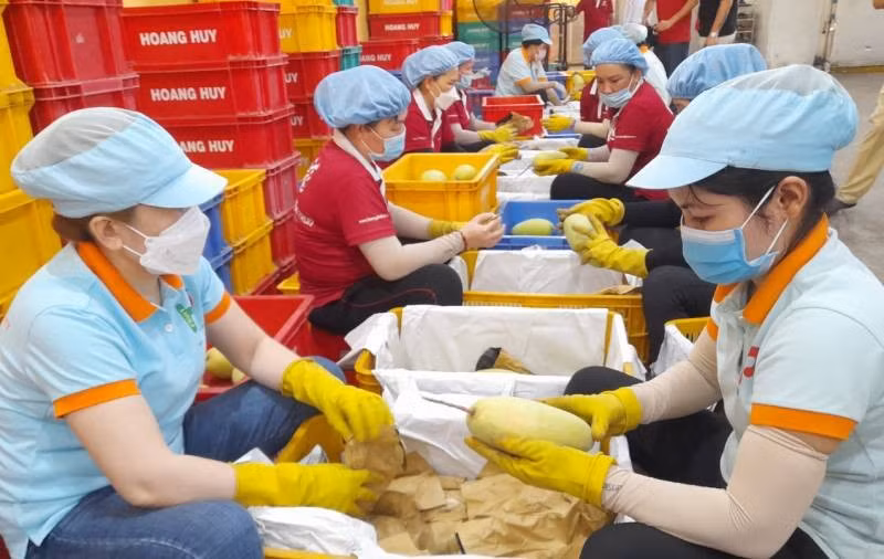 Người lao động làm trung tâm và giai cấp công nhân làm lực lượng nòng cốt trực tiếp trong lao động sản xuất, tạo ra của cải vật chất cho xã hội, góp phần thực hóa Nghị quyết nhiệm kỳ 2025-2030 của Tây Ninh