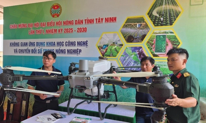 Ứng dụng công nghệ máy bay không người lái trong sản xuất lúa đã góp phần giảm chi phí sản xuất cho nhà nông