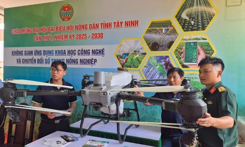 Ứng dụng công nghệ máy bay không người lái trong sản xuất lúa đã góp phần giảm chi phí sản xuất cho nhà nông