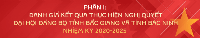 tit-phu-bao-cao-chinh-tri.png