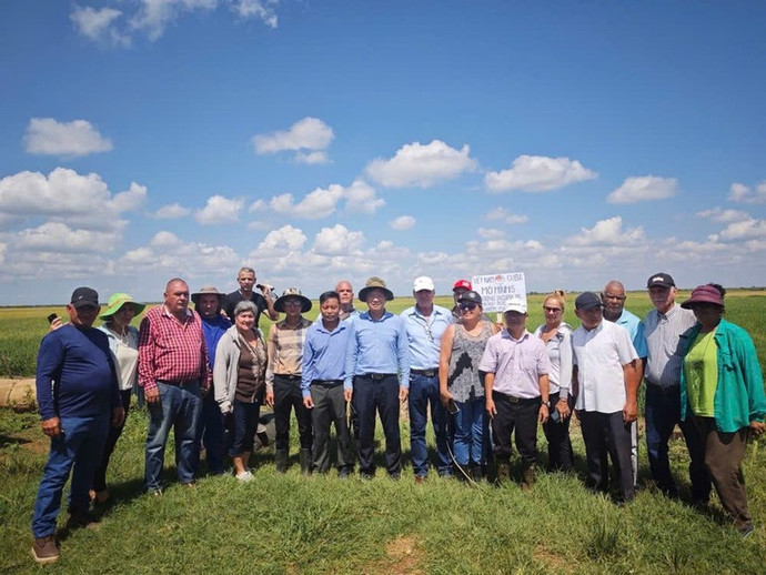 Các doanh nghiệp Việt Nam đã bắt đầu tham gia sản xuất lúa gạo và một số loại cây trồng khác nhằm góp phần bảo đảm chủ quyền và an ninh lương thực cho Cuba.(Ảnh: Đại sứ quán Việt Nam tại Cuba cung cấp)