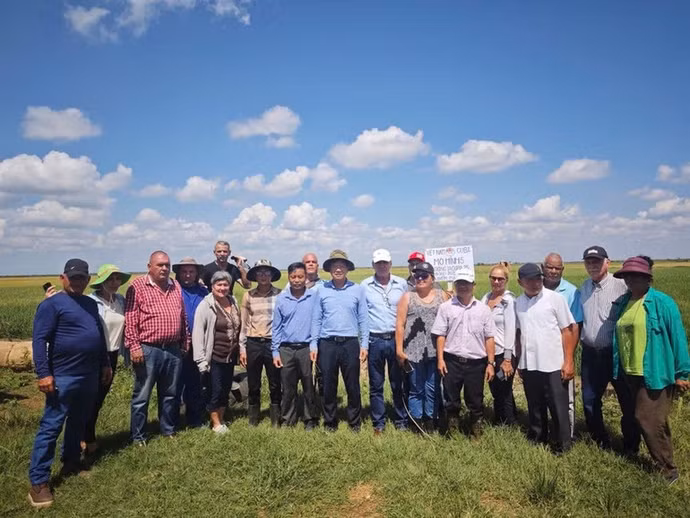 Các doanh nghiệp Việt Nam đã bắt đầu tham gia sản xuất lúa gạo và một số loại cây trồng khác nhằm góp phần bảo đảm chủ quyền và an ninh lương thực cho Cuba.(Ảnh: Đại sứ quán Việt Nam tại Cuba cung cấp)