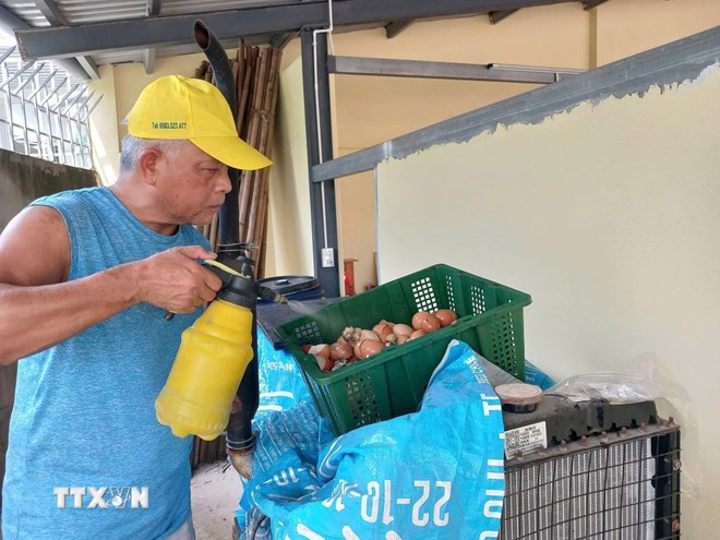 Ông Nguyễn Văn Xuân, phường Tây Nha Trang, tỉnh Khánh Hòa, vẫn miệt mài sáng tạo các sản phẩm tái chế từ rác ở tuổi 65. (Ảnh: Phan Sáu/TTXVN)