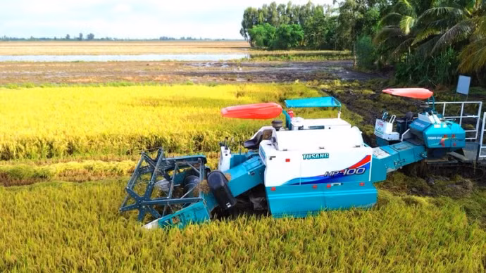 thiet-ke-chua-co-ten-18.png