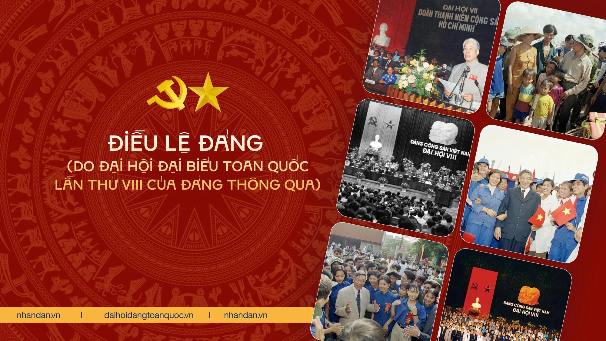 Điều lệ Đảng (do Đại hội đại biểu toàn quốc lần thứ VIII của Đảng thông qua)