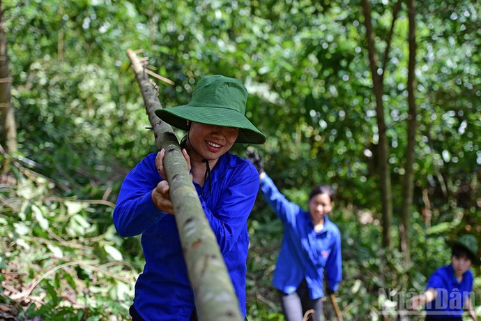 thanh-nien-tinh-nguyen-ho-tro-xay-dung-duong-day-500kv.jpg