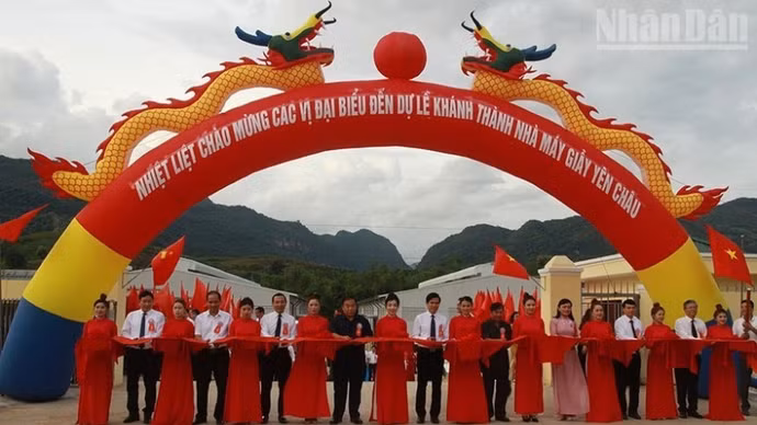 image-5.jpg