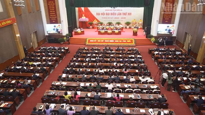 image-8.jpg