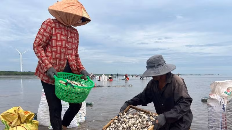 Xã Thới Thuận tập trung mọi nguồn lực để phát triển kinh tế biển.