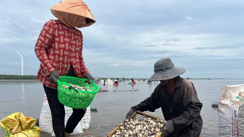 Xã Thới Thuận tập trung mọi nguồn lực để phát triển kinh tế biển.