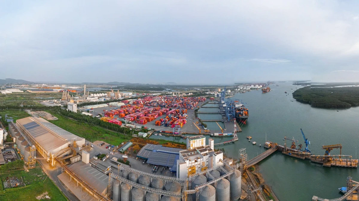 Thành phố hiện nay có tiềm lực để phát triển trên nhiều lĩnh vực trong đó đặc biệt là về logistics.