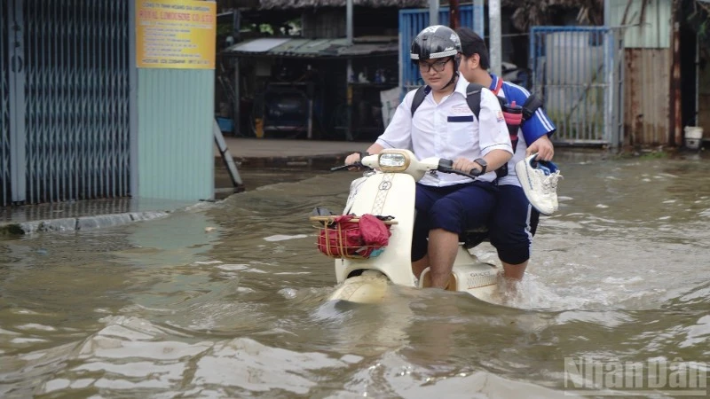 Triều cường dâng cao và nhiều lần vượt mức báo động.