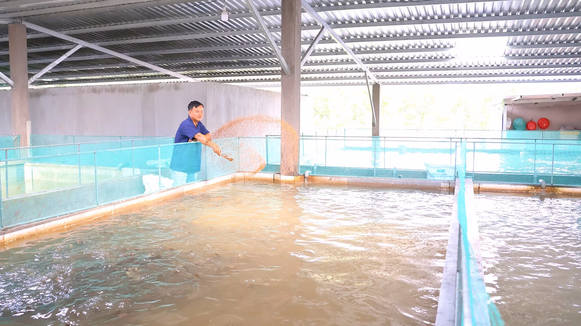 Anh Nguyễn Ngọc Bách, ngụ ấp 2B, xã Bình Hàng Trung với mô hình nuôi thủy sản sạch tại xã Bình Hàng Trung.