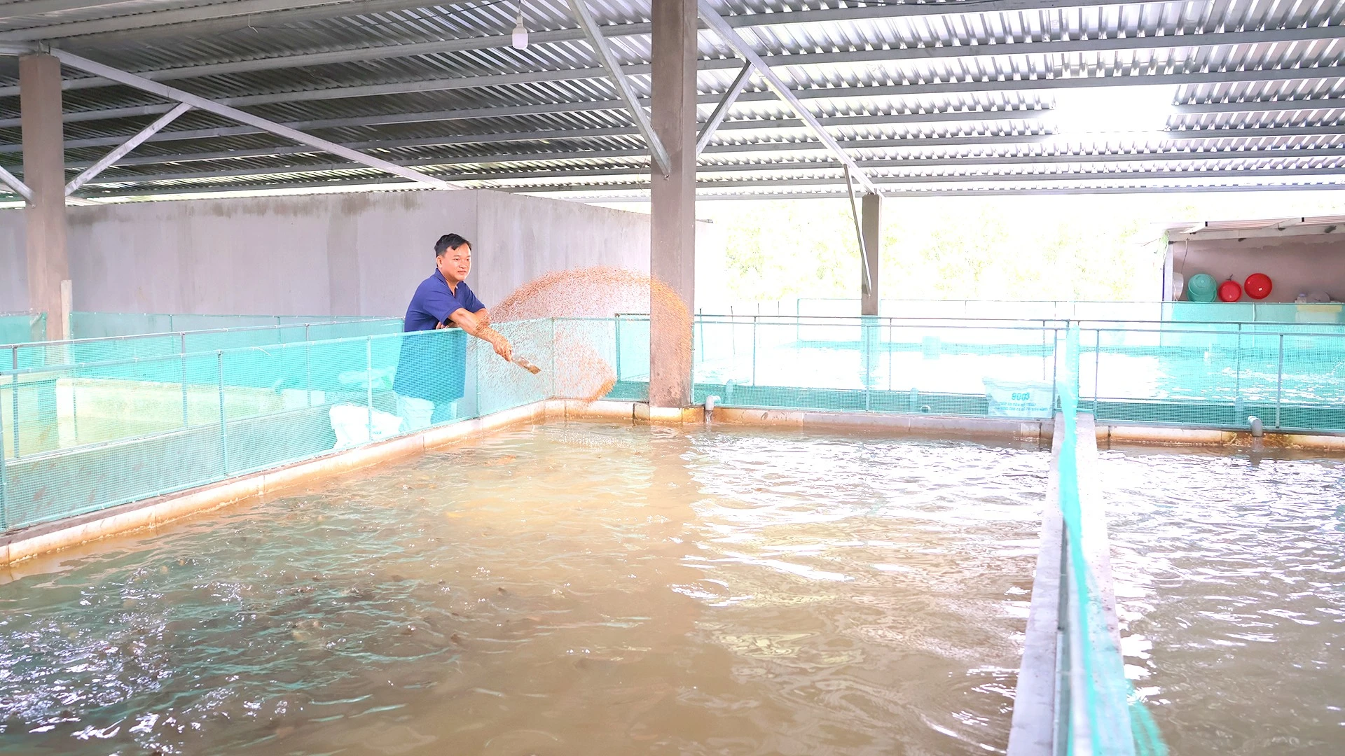 Anh Nguyễn Ngọc Bách, ngụ ấp 2B, xã Bình Hàng Trung với mô hình nuôi thủy sản sạch tại xã Bình Hàng Trung.