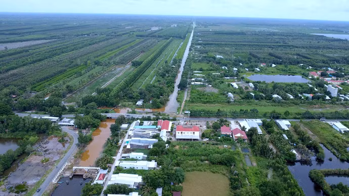 anh-11-9223.jpg