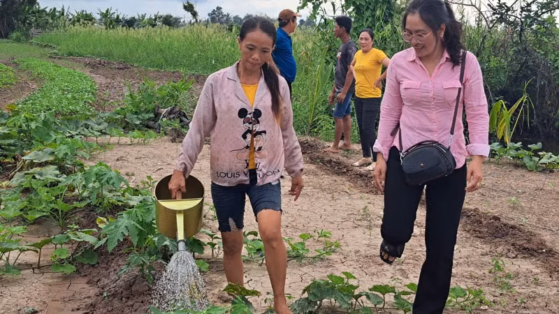 Chị Thị Trúc Linh, xã Đông Thái nhờ nguồn vốn hỗ trợ 25 triệu đồng và kiến thức kỹ thuật từ Hội Phụ nữ xã để trồng rau xanh đã có cuộc sống ổn định. 