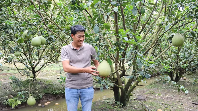 ngai2.jpg