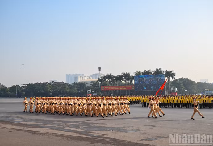 ndo_br_bnd-3617.jpg