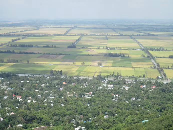 a1.jpg