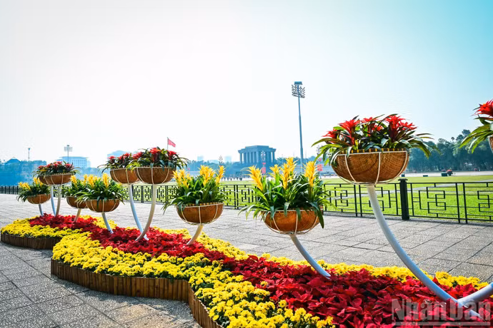 Trên những tuyến phố, các thảm hoa, giá hoa và tổ hợp cây cảnh được bố trí hài hòa tạo nên một không gian tươi mới.