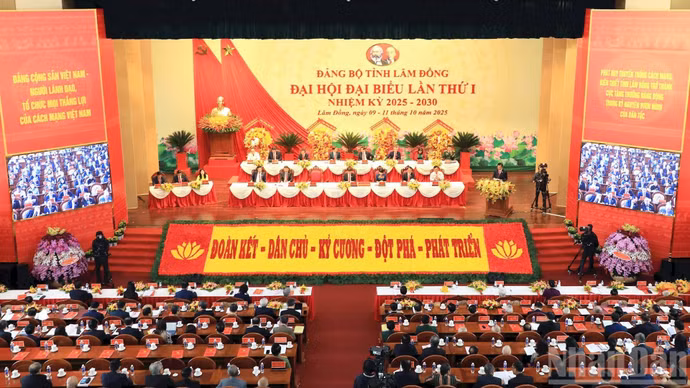 image-8.jpg