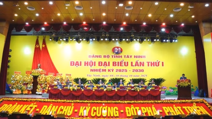 image-1.jpg