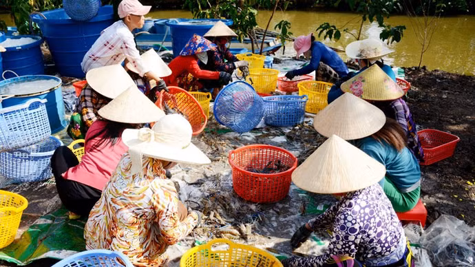 3-2565.jpg