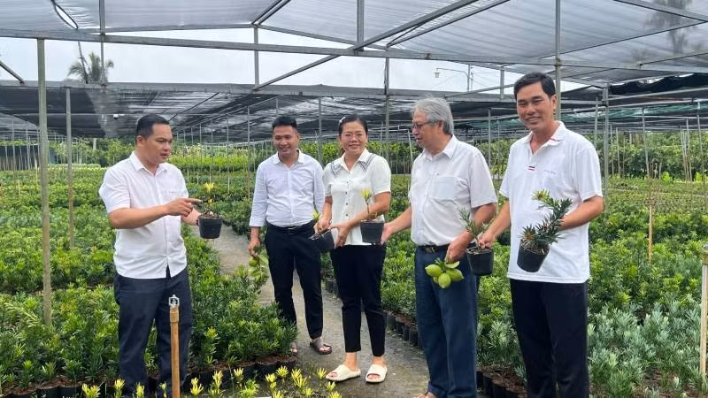Xã Vĩnh Thành tập trung phát triển nghề sản xuất cây giống, hoa kiểng truyền thống.