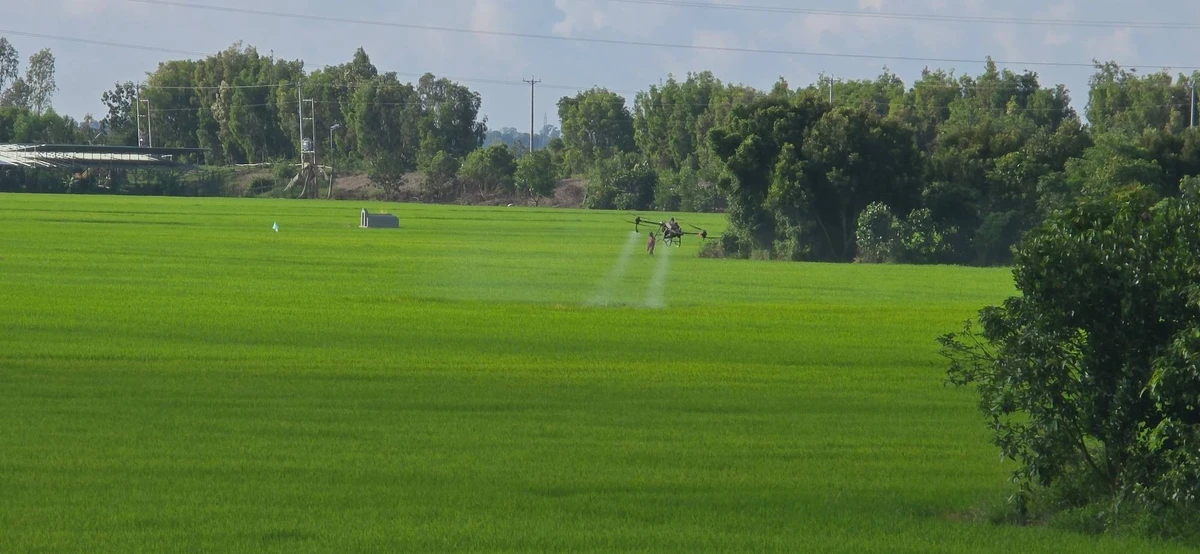 Nông dân ứng dụng công nghệ cao trồng lúa