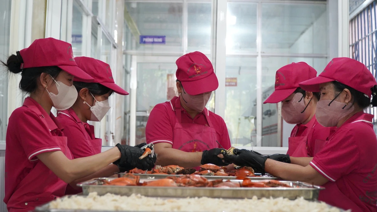 Sơ chế sản phẩm "muối cua" tại một doanh nghiệp tư nhân trên địa bàn xã U Minh, tỉnh Cà Mau.