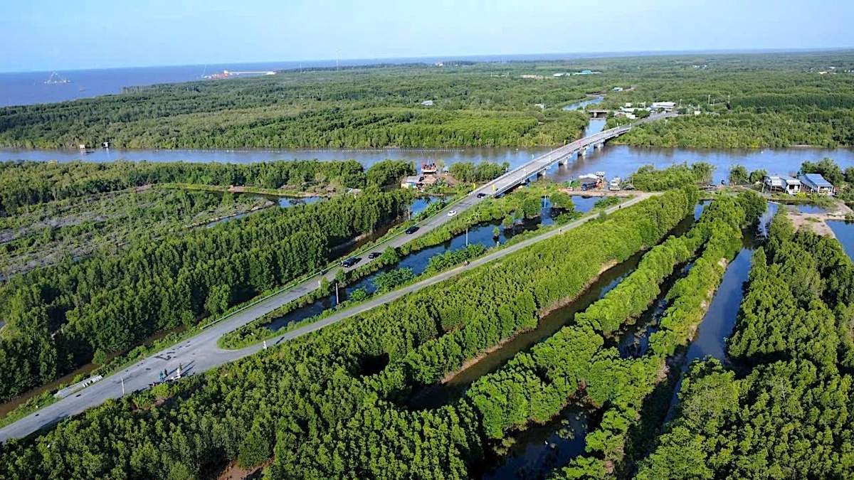 Cung đường xuyên rừng mang tên Hồ Chí Minh về tận Mũi Cà Mau nhờ hỗ trợ, đầu tư của Trung ương.