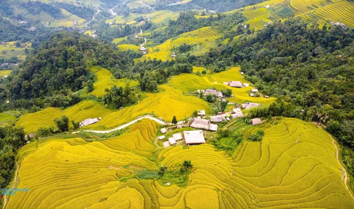 ruong-bac-thang-xa-phin-tai-xa-thanh-thuy-tuyen-quang-anh-duc-tho-ttxvn-2.jpg