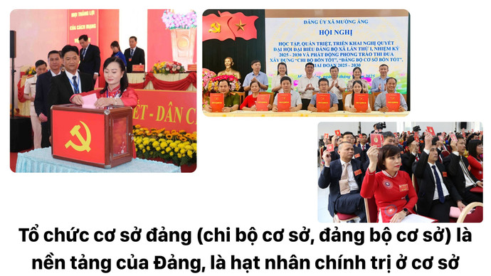 to-chuc-co-so-dang-chi-bo-co-so-dang-bo-co-so-la-nen-tang-cua-dang-la-hat-nhan-chinh-tri-o-co-so.jpg