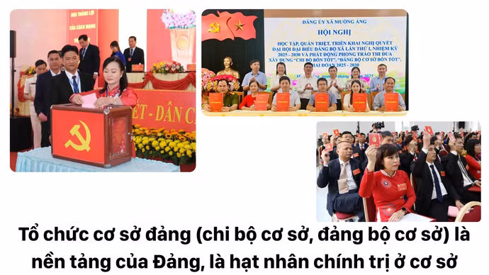 to-chuc-co-so-dang-chi-bo-co-so-dang-bo-co-so-la-nen-tang-cua-dang-la-hat-nhan-chinh-tri-o-co-so.jpg