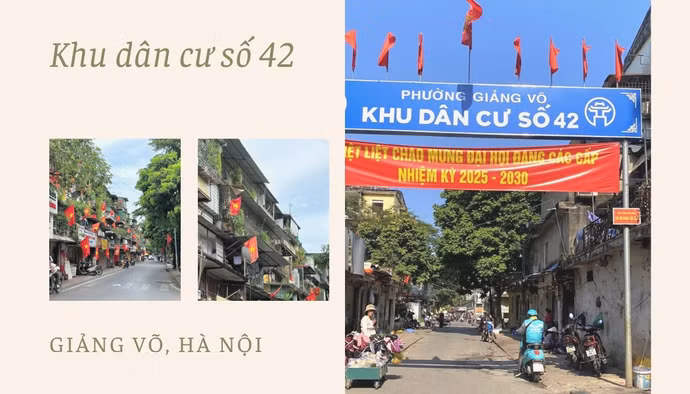 15nam-1.png