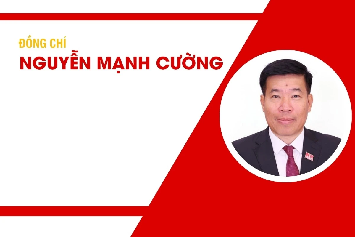 Tiểu sử đồng chí Nguyễn Mạnh Cường, Ủy viên Trung ương Đảng, Phó Bí thư Thường trực Đảng ủy, Thứ trưởng Bộ Ngoại giao