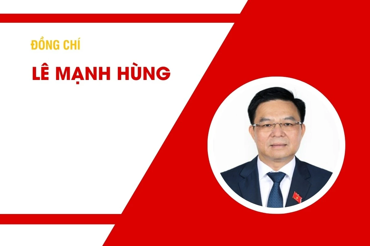 Tiểu sử đồng chí Lê Mạnh Hùng, Ủy viên Trung ương Đảng, Ủy viên Ban Chấp hành Đảng bộ Chính phủ, Quyền Bộ trưởng Công thương