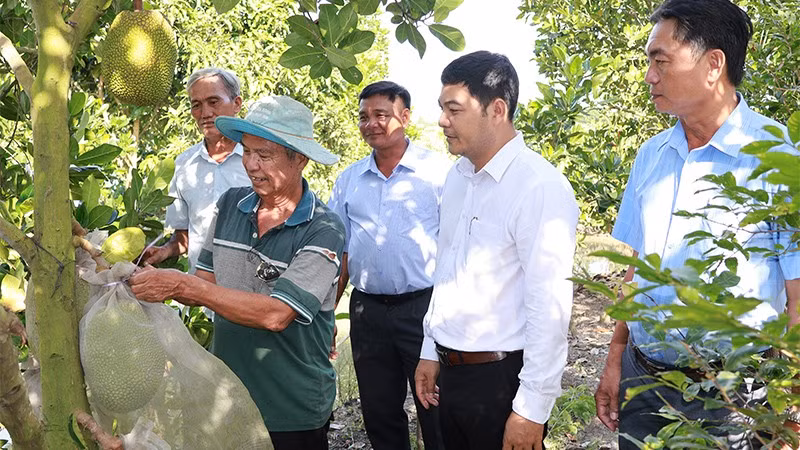 Lãnh đạo xã Tháp Mười thăm các mô hình của Hợp tác xã đa dịch vụ An Phát.