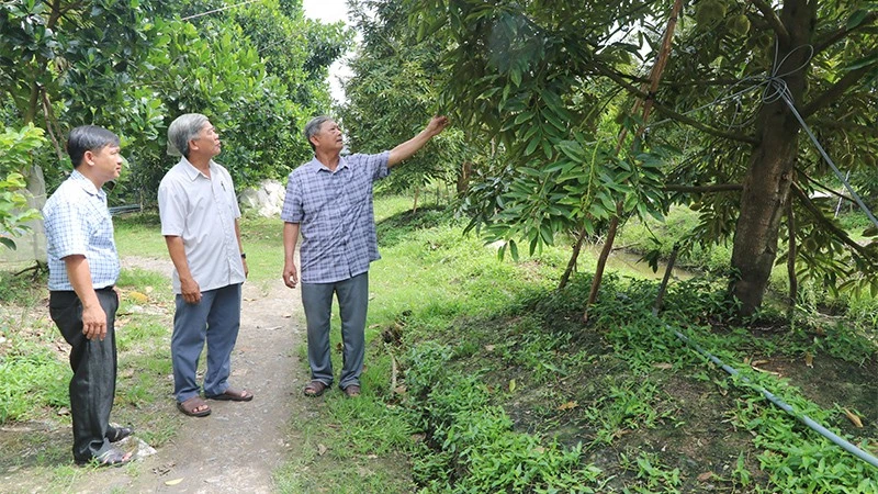 Chi ủy Chi bộ ấp 2, xã Đốc Binh Kiều thăm hỏi tình hình sản xuất sầu riêng phát triển kinh tế của nông dân trên địa bàn.