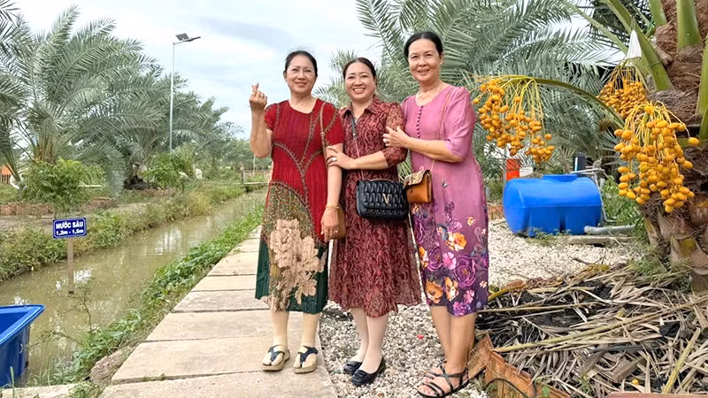 Du khách tham quan, trải nghiệm tại Vườn sinh thái Chala Farm tại phường Hồng Ngự, tỉnh Đồng Tháp.